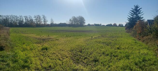 Darłowo, 7 działek rolnych, studium-zagrodowe