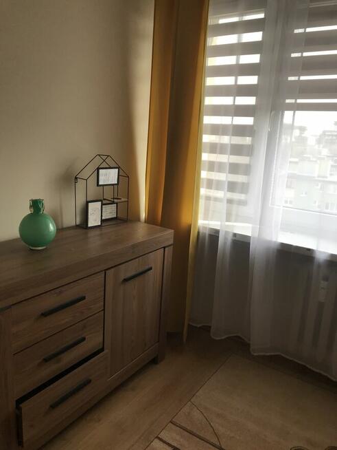 Mieszkanie do wynajęcia