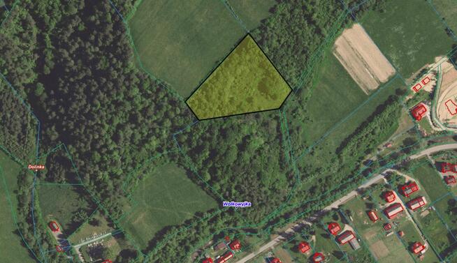 85,45 ar. działka rolna zalesiona, 5 km. od brzegu Jeziora S