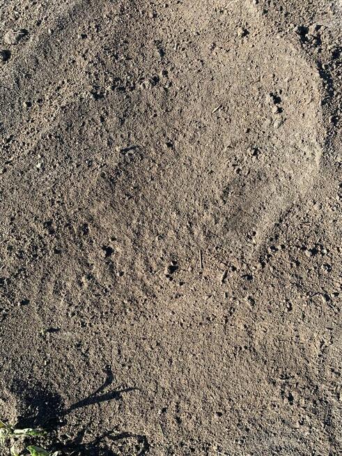 Czarnoziem torf ziemia ogrodowa kwiatowa żyzna