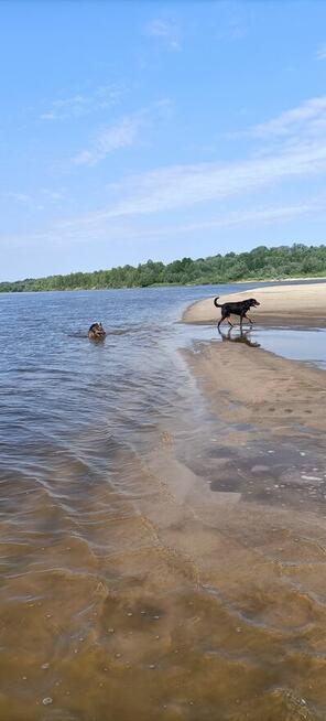 Domek nad Wisłą blisko Warszawy