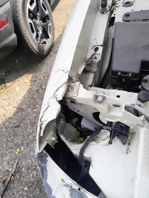 Plastex. Naprawa elementów plastikowych łodzi pontonów