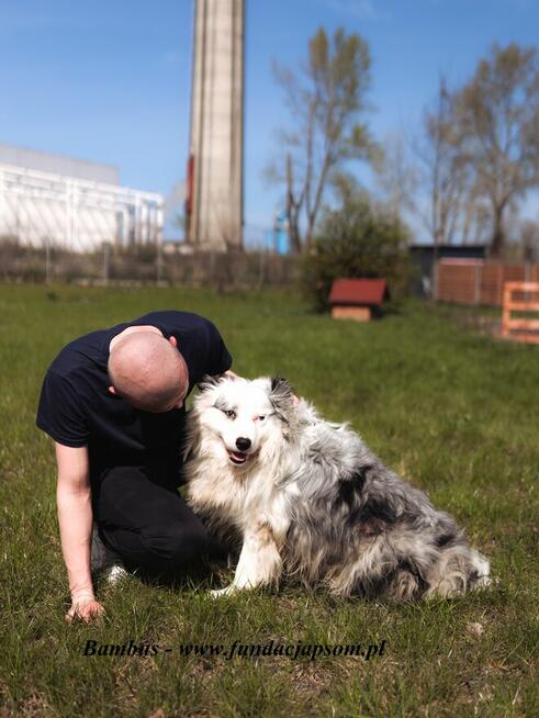 Bambus i Bańka - szukamy domu