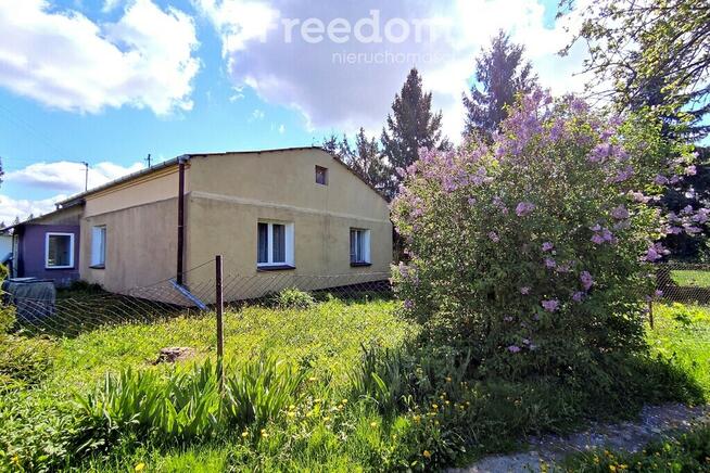 Na sprzedaż siedlisko i 2h lasu okolice Kodnia
