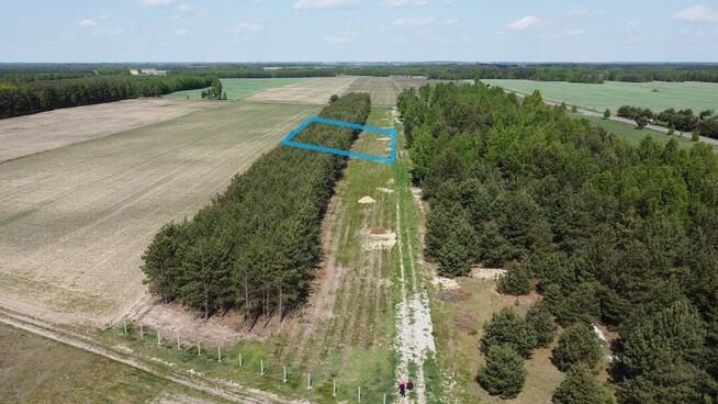 Działka z WZ w Wólce Gonciarskiej gm. Kazanów.