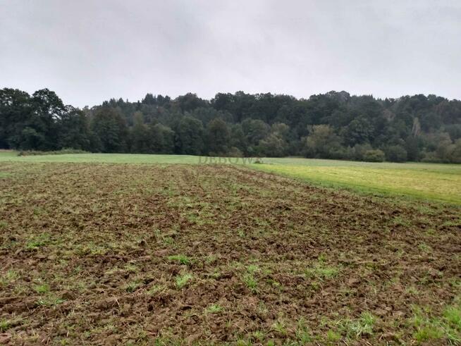 Działka budowlana Łapanów