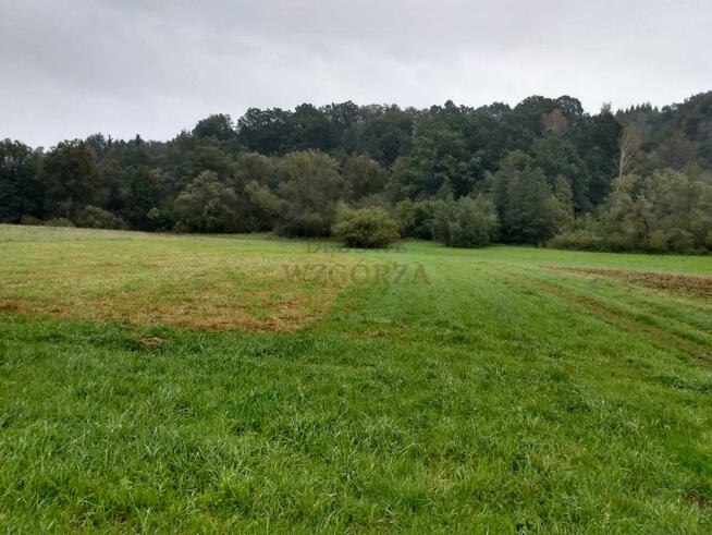 Działka budowlana Łapanów