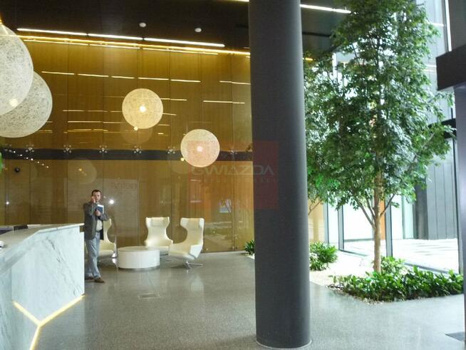 Lokal użytkowy Warszawa Mokotów