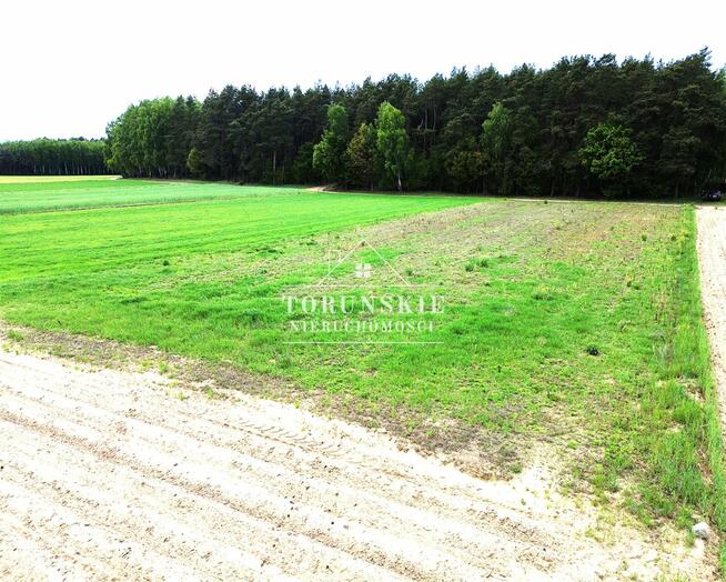 Działka Radziki Duże gm. Wąpielsk