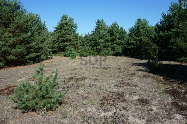 Działka budowlana Janiszów gm. Trzebnica