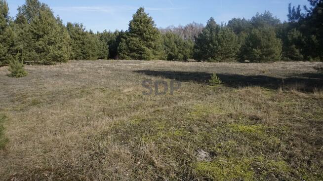 Działka budowlana Janiszów gm. Trzebnica