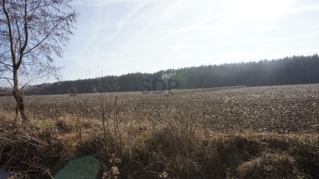 Działka budowlana Janiszów gm. Trzebnica