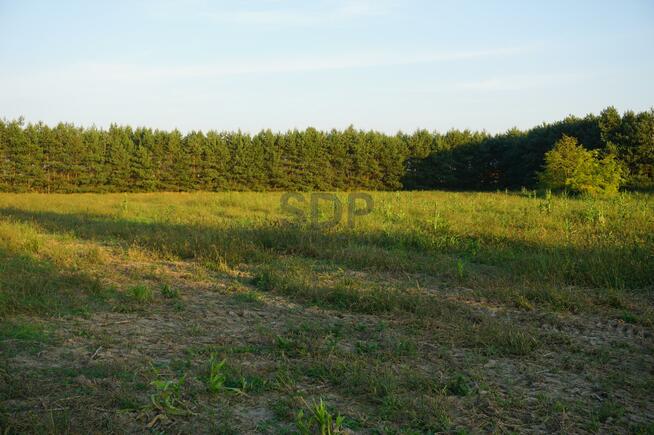Działka inwestycyjna Ramiszów gm. Długołęka
