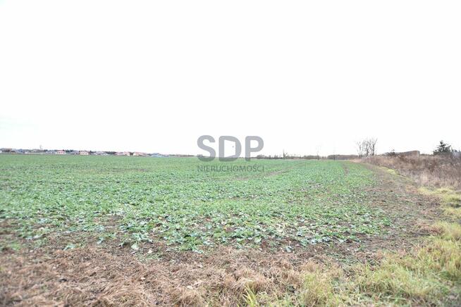 Działka siedliskowa Kąty Wrocławskie, Gliniana