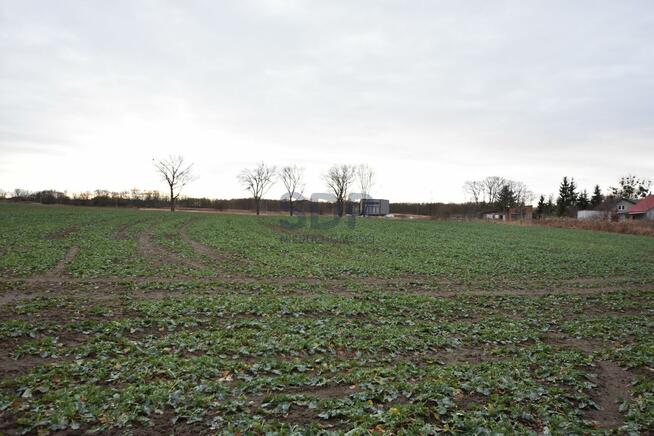 Działka siedliskowa Kąty Wrocławskie, Gliniana