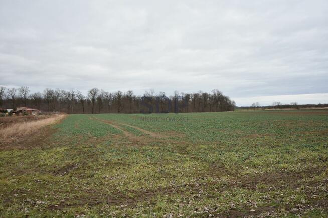 Działka siedliskowa Kąty Wrocławskie, Gliniana