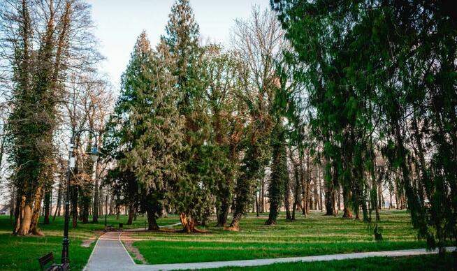 Działka usługowa Radwanice gm. Siechnice, Katarzyńska