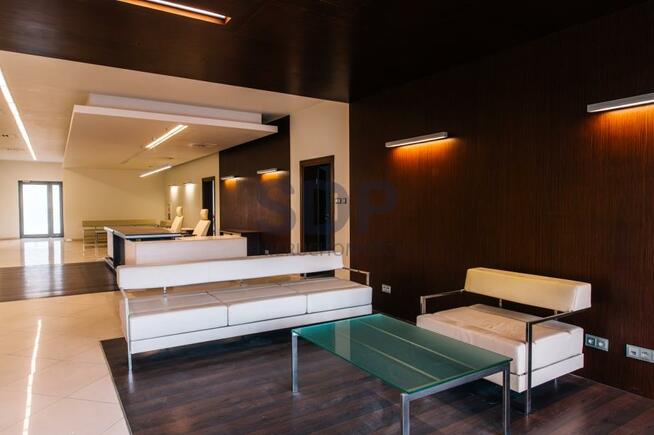 Lokal użytkowy Polkowice, Działkowa