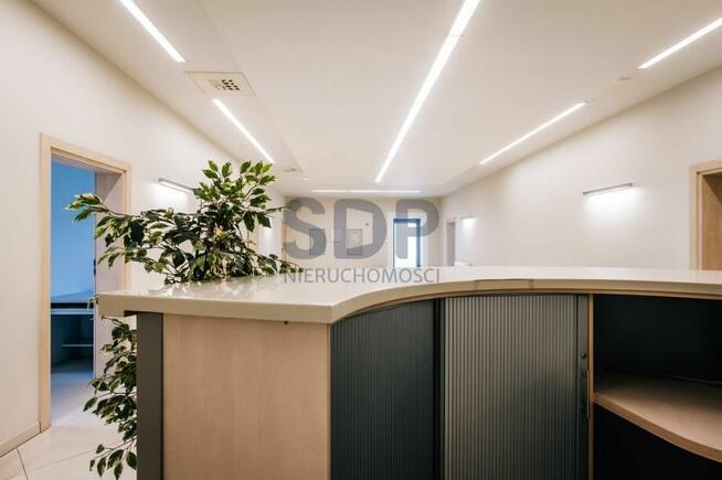 Lokal użytkowy Polkowice, Działkowa