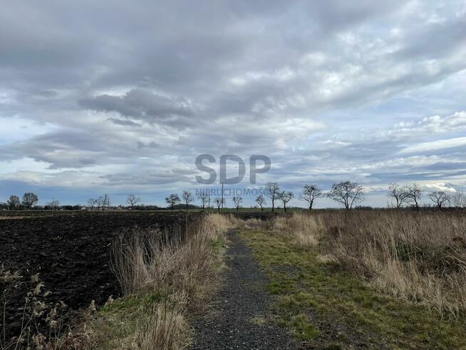 Działka siedliskowa Pełczyce gm. Kobierzyce