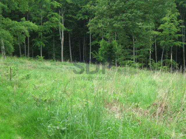 Lokal użytkowy Kuropatnik gm. Strzelin