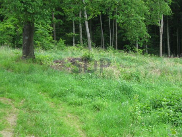 Lokal użytkowy Kuropatnik gm. Strzelin