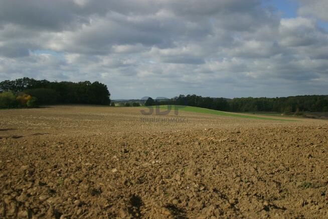 Lokal użytkowy Rogów Wołowski gm. Wińsko