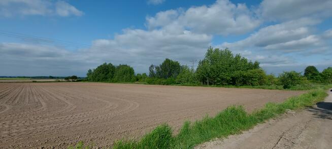 Działka rolna Wilkszyn gm. Miękinia, Wilkszyn