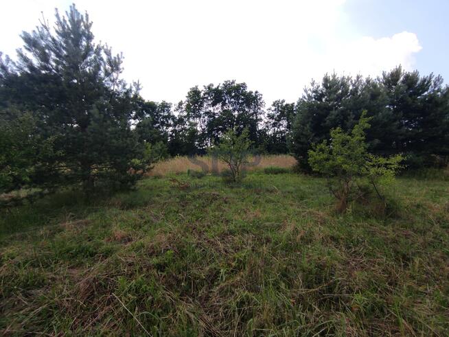 Działka budowlana Zawonia, Wiosenna