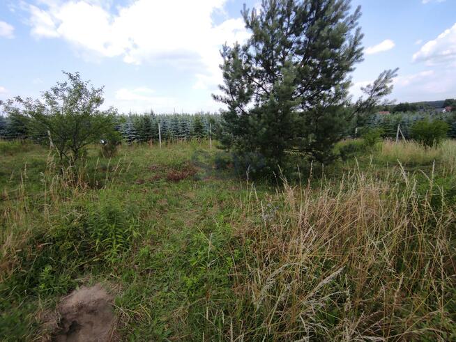 Działka budowlana Zawonia, Wiosenna