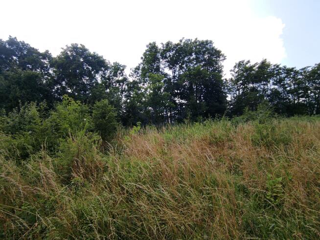 Działka budowlana Zawonia, Wiosenna