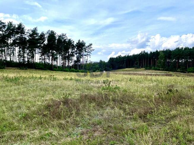 Działka budowlana Kobyla Góra