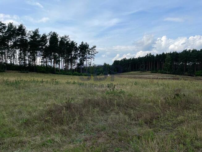 Działka budowlana Kobyla Góra