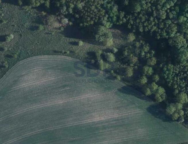 Działka budowlana Ławica gm. Kłodzko