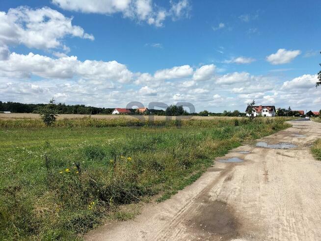 Działka siedliskowa Siedlce gm. Oława