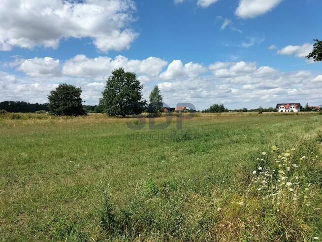 Działka siedliskowa Siedlce gm. Oława