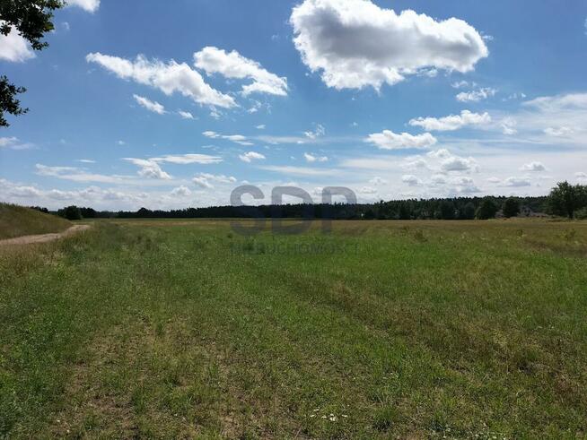 Działka siedliskowa Siedlce gm. Oława