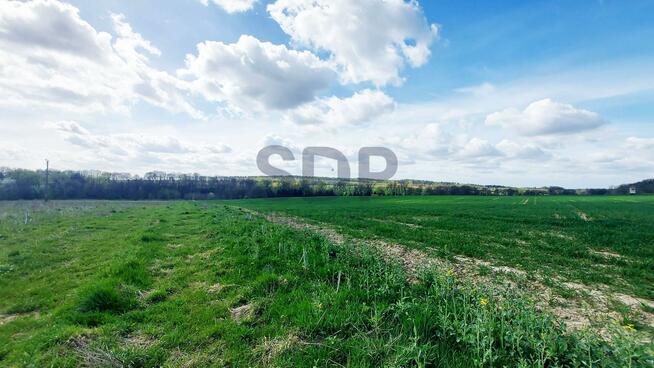 Działka siedliskowa Borkowice gm. Oborniki Śląskie