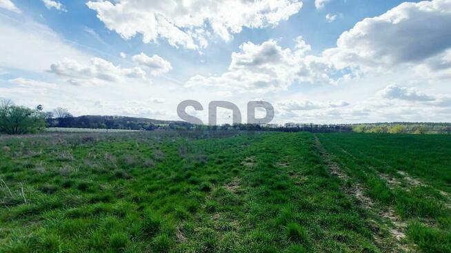 Działka siedliskowa Borkowice gm. Oborniki Śląskie