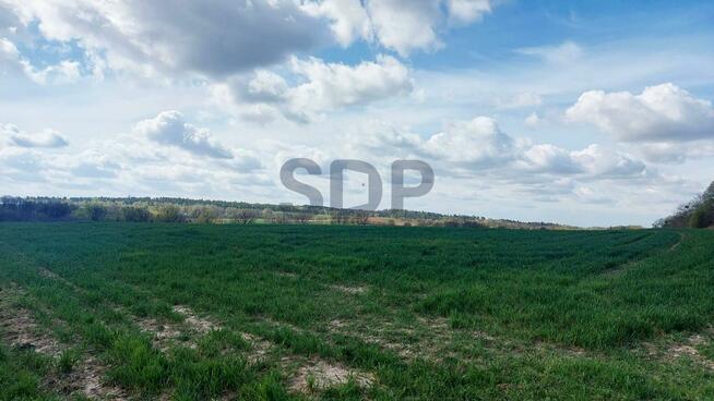 Działka siedliskowa Borkowice gm. Oborniki Śląskie