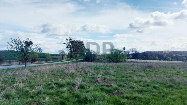 Działka siedliskowa Borkowice gm. Oborniki Śląskie
