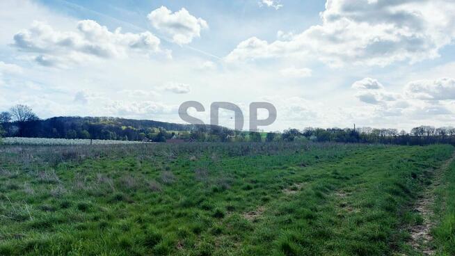 Działka siedliskowa Borkowice gm. Oborniki Śląskie