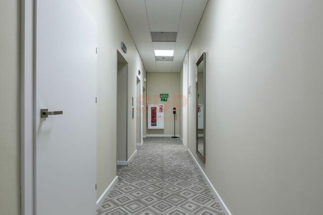 Lokal użytkowy Wrocław Stare Miasto, Stare Miasto, Szewska