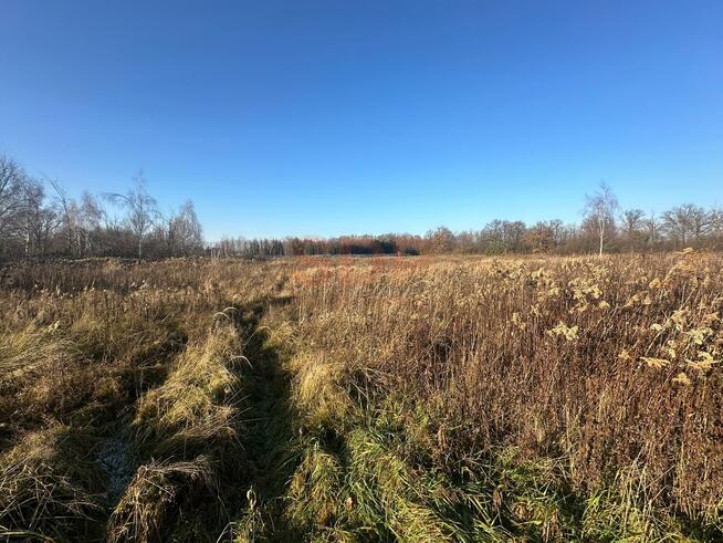 Działka budowlana Żurawiniec gm. Miękinia, Kasztanowa