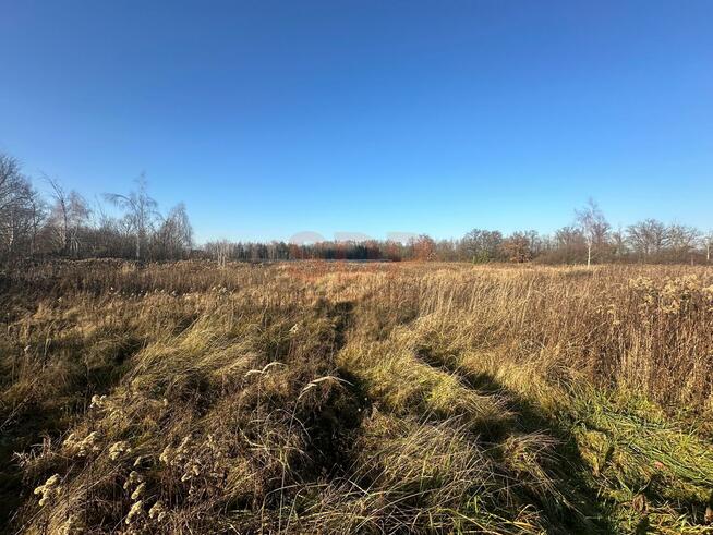 Działka budowlana Żurawiniec gm. Miękinia, Kasztanowa