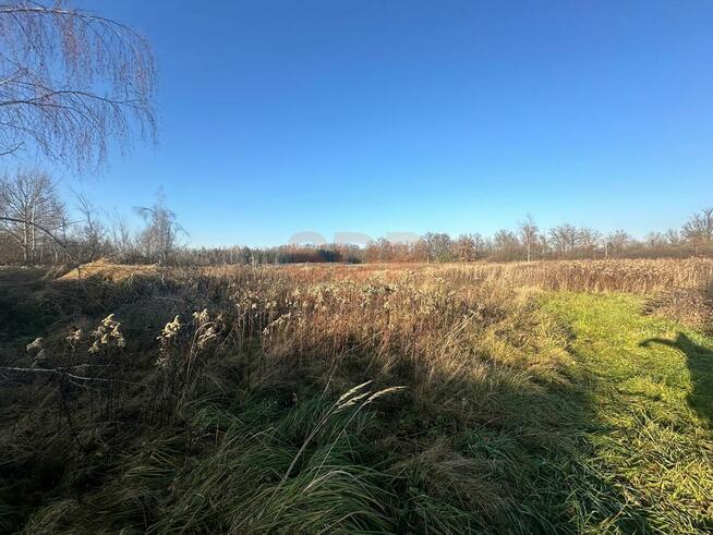 Działka budowlana Żurawiniec gm. Miękinia, Kasztanowa