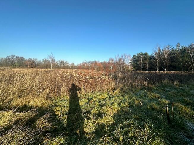 Działka budowlana Żurawiniec gm. Miękinia, Kasztanowa