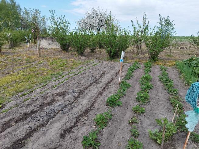Siedlisko z małym domkiem w cichym spokojnym miejscu