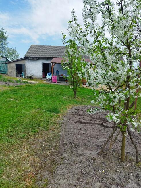 Siedlisko z małym domkiem w cichym spokojnym miejscu