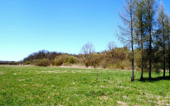 Działka w Załużu, gm. Sanok 41 ar